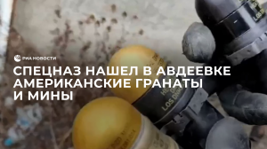 Спецназ нашел в Авдеевке американские гранаты и мины