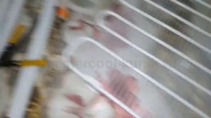 Громкий ужас после ремонта холодильника Атлант ХМ 6023