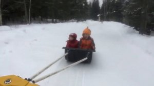 Taking the boys down the driveway in the otter