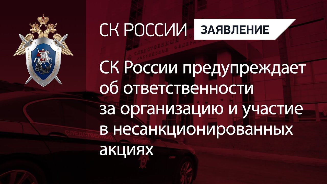 СК России предупреждает об ответственности за организацию и участие в несанкционированных акциях