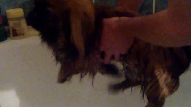 воздушный пловец смотреть онлайн