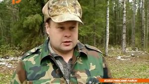 В Костромской области впервые выпустили в дикую природу медвежат