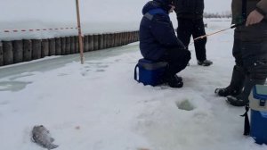 Зимняя рыбалка на форелевом, платном озере в РТ, которую устроил нам друг Сергей.