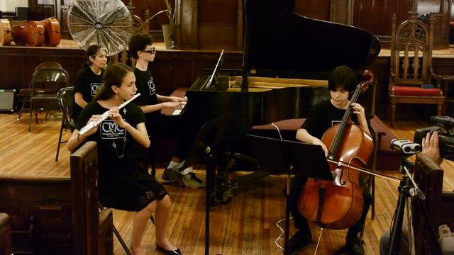 Joseph Haydn, Piano Trio (with flute) No. 28 in D major, Hob. XV:16 – III. Vivace assai смотреть онлайн