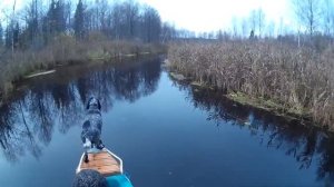 Охота на утку с лодки