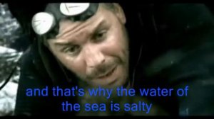 rammstein haifisch lyrics translation