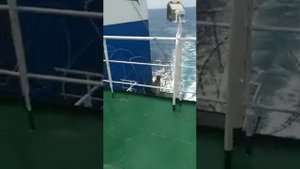 Отражение атаки сомалийских пиратов