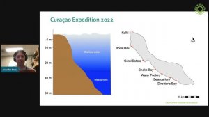 Academy Science: Investigating Hybridization in Madracis Corals | Academy Members Program