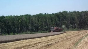 Уборка пшеницы 2015. КЗС-3 "Русь"