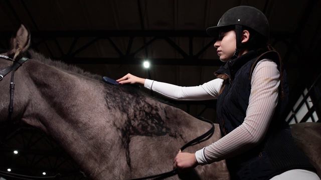 Просто о сложном. Как седлать лошадь? смотреть онлайн