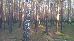 Детский лагерь "ЛЕСНАЯ ЗАСТАВА". Молодёжный форум. 17. 09. 23