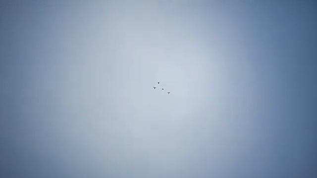 голуби.Александра.Грибановский.район.Воронежской.обл. смотреть онлайн