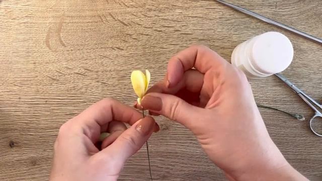 Мастер-класс по холодному фарфору «Желтый крокус»