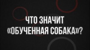 448. Что значит "обученная  собака"?