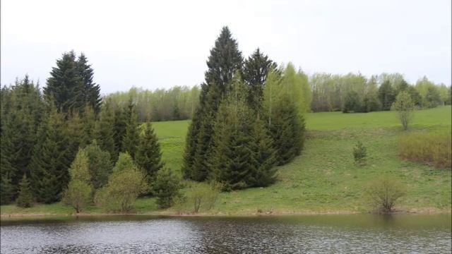 Музыкальный альбом "Природа Добрянского района" смотреть онлайн