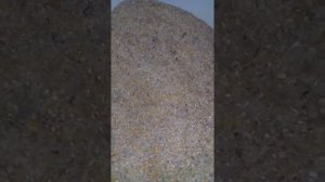 Как зделать мешанку для кроликов (ПОЛЕЗНО И ВКУСНО)