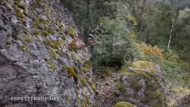 Лесной бродяга RC сказка Предатели в голове смотреть онлайн