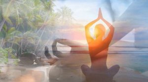 Hang Massive   Goa Garden Live Concert 1