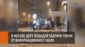 В Москве двух лошадей ударило током