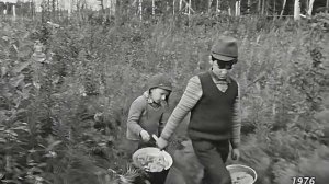 1976 год. Сургут. Сбор грибов.