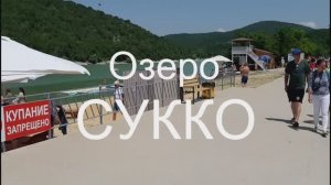 Озеро?Сукко??? Кипарисы в воде.
