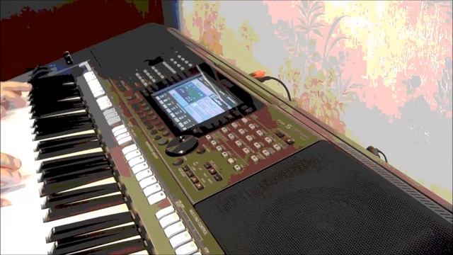 На белом покрывале января  PSR S770.mp4