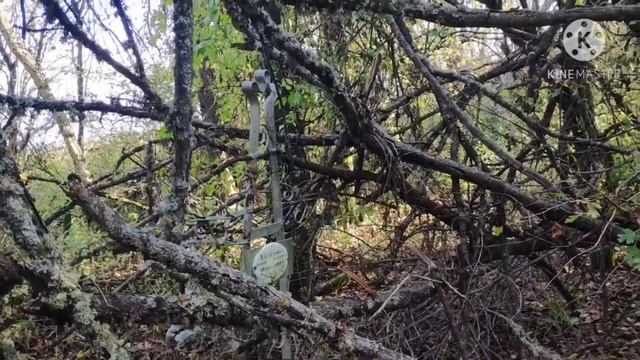 Поездка в заброшенную станицу Абхазская