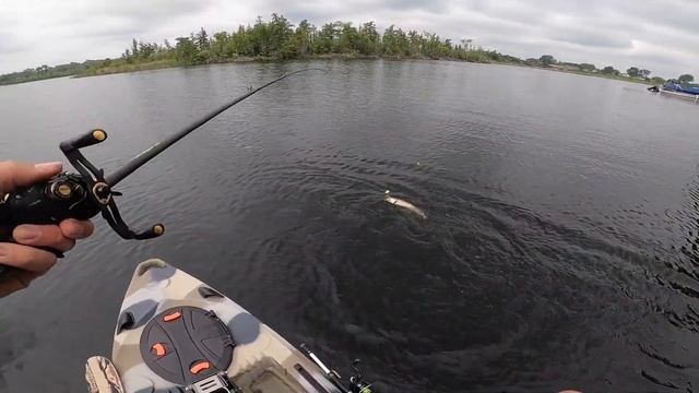 Catching Huge Bass In My New Feelfree Lure 11.5 Kayak 2023: Kayak Bass Fishing смотреть онлайн