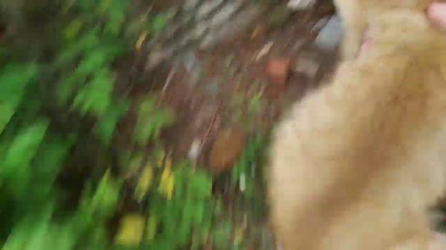 Нашел заброшку там где.... смотреть онлайн