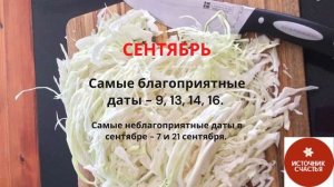КОГДА СОЛИТЬ КАПУСТУ, чтобы была очень вкусной? Лучшие даты по лунному календарю для засолки капуст