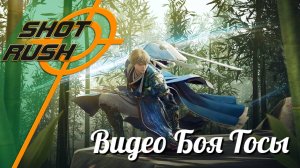 Black Desert / BD: Видео боя Тосы #Тоса #ВидеоБояТосы