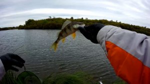 ОКУНЬ ОСЕНЬЮ.mp4