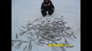 ОХОТА И РЫБАЛКА В ЗАПОЛЯРЬЕ "У БЕРКУТА"