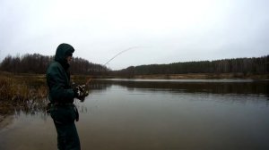 Силиконовые приманки для ловли ротана. Ротаны на микроджиг и дропшот 2.