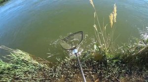 Рыбалка в Кызылорда! Рыбалка 2023! Рыбалка на Сырдарье! #рыбалка #рыбалка2023 #казахстан