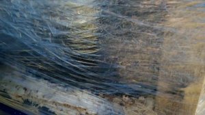 Заготовил древесную стружку на весну!