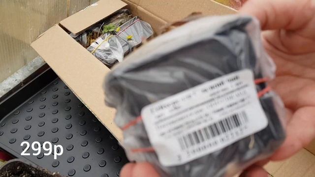 Гейхера-растение хамелион/ Гейхерелла/Новые экземпляры в моей коллекции/Посылка от Русского огорода смотреть онлайн