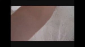 Дробление хрупкого сырья. Дробилка молотковая Molot 800