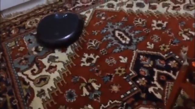 робот пылесос уборка ковров смотреть онлайн