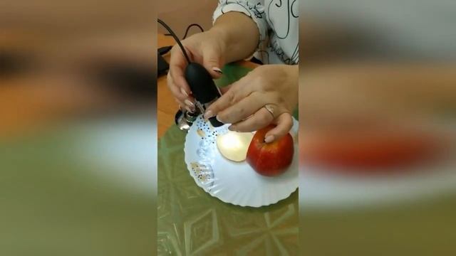 «Использование электронного микроскопа в работе с детьми дошкольного возраста» смотреть онлайн