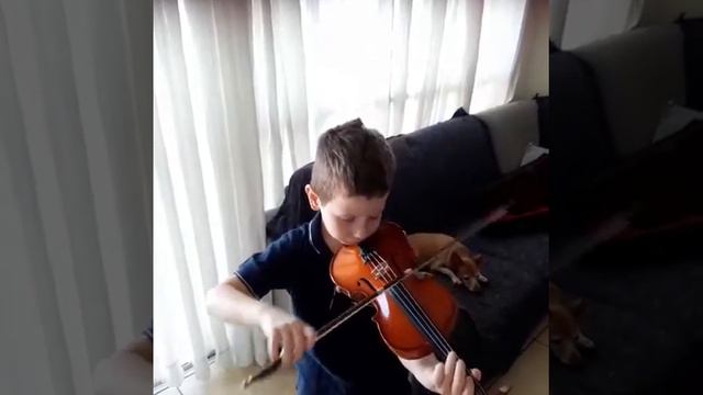 Комаровский Наперегонки