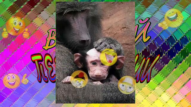 ЛОТО на YouTube тираж 0403✌🤑💰 смотреть онлайн