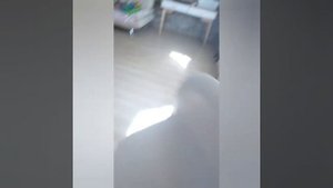 Стулья в стиле Сканди Дизайн 2020 стулья с деревянными ножками #стульявстилесканди#стулья#