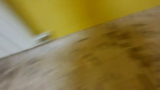 КАК СТЕЛИТЬ ЛИНОЛЕУМ НА БЕТОНЫЙ ПОЛ СВОИМИ РУКАМИ смотреть онлайн