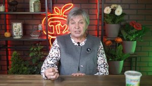 Нужно срочно обеззаразить погреб * серная шашка для погреба
