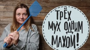 Как закрыть забор? Пошаговый Мастер Класс создания миксбордера. (Часть 1)