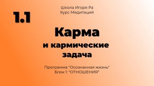 1.1 Карма и кармические задачи. Медитация "Осознанная жизнь. Блок 1 - Отношения.