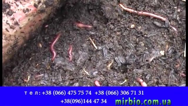 2-Я Серия Утеплении Червя на Зиму, Мир Удобрений. Биогумус смотреть онлайн