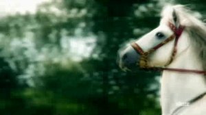 Аника Далински - Ты мое все