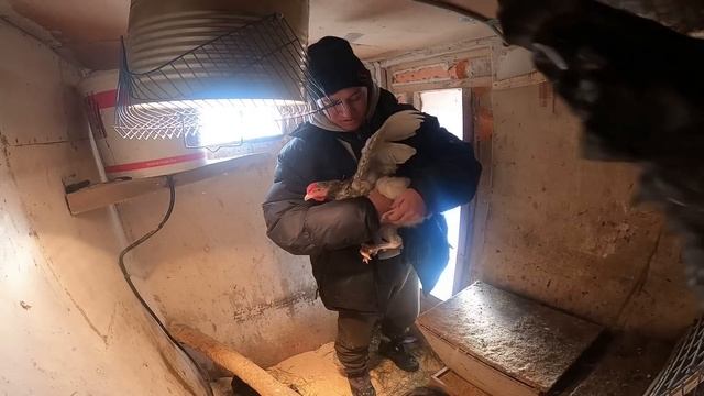 ЖИЗНЬ В РОССИЙСКОЙ ДЕРЕВНЕ# ПАРЕНЬ ИЗ СРЕДНЕЙ АЗИИ смотреть онлайн